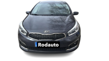 Img 20260129 wa0016 removebg preview copia