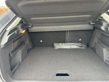 Photo 2026 02 11 17 23 23 (4)