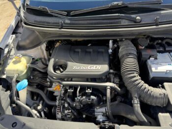 Photo 2026 02 12 18 20 16 (7)