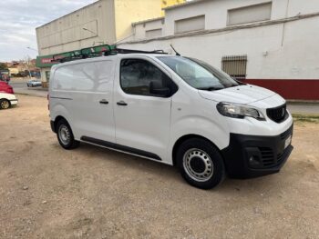 Photo 2026 02 12 18 21 09 (8)